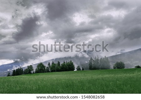 A green meadow in Austria mountains, on the background a spruce forest. A storm is approaching  the place.