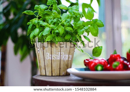 View beyond blurred dish with red bell peppers on wooden pot with green basil plant. Blurred background with bokeh. (German word Basilikum meaning basil)