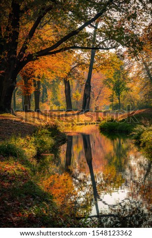Beautiful autumn landscape with pleasant warm sunny light. Picture taken in Bad Muskau park, Saxony, Germany. UNESCO World Heritage Site. Royalty-Free Stock Photo #1548123362