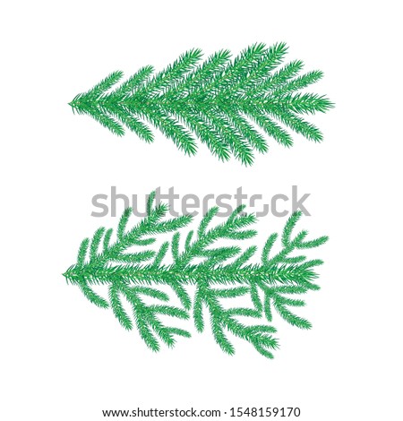 Set of Christmas tree branches. Vector illustrations for card, postcard, greeting card, invitation, banner isolated on white background.