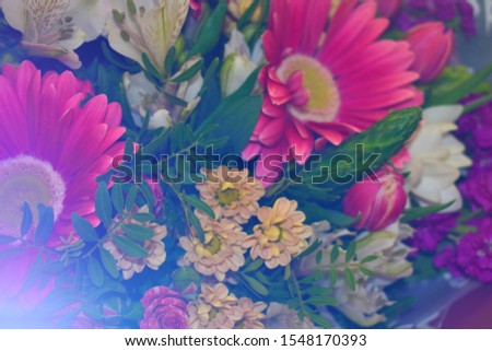 Seamless floral blooming background of fresh flowers. Floral  colorful wallpaper. Women's International Day Greeting Card. Vibrant delicate bright flowers. Multi-colored different garden flowers