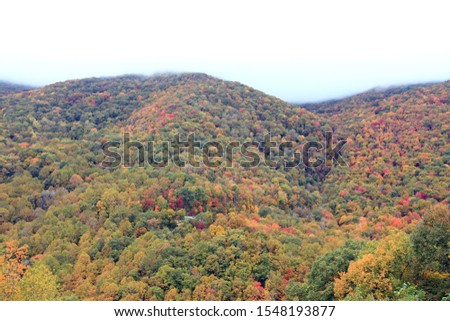 Colorful autumn foliage, Smoky Mountains