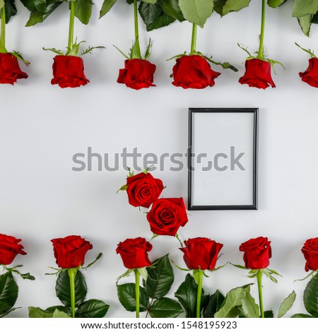 Fresh roses background and free space for your decoration. Copy space, Top view. flat photo. 