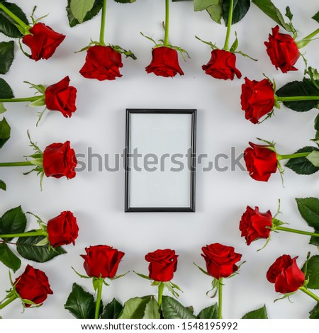 Fresh roses background and free space for your decoration. Copy space, Top view. flat photo. 