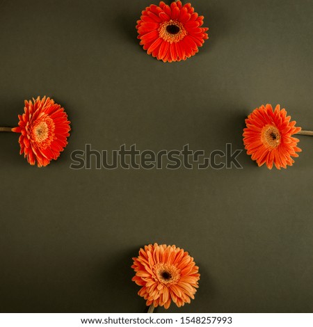 Fresh flowers background and free space for your decoration. 