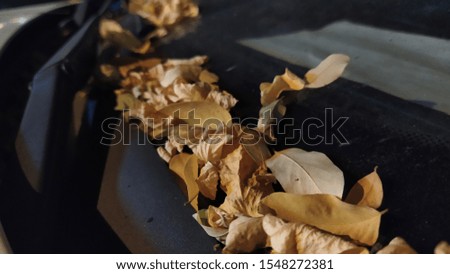Close up shot of autumn leaves on a car windshield