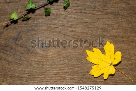 WOOD GRAIN TEXTURE WITH MAPEL LEAF