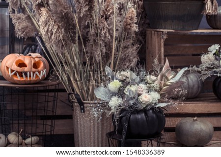 Halloween, decor elements and attributes of the holiday .Autumn holidays, decor and decoration.