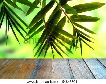 Wood floor with plant. Beautiful and fresh studio table background.