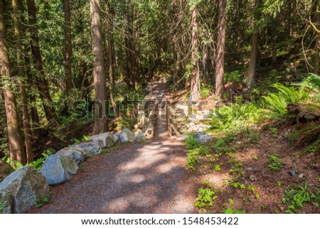 Mountain Trail in British Columbia, Canada. Mountains Background.