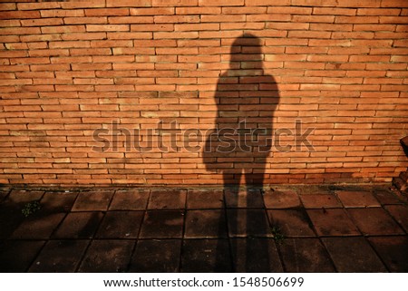 The shadow of the person standing and lying between the floor and the bricks wall