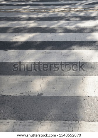 pedestrian crossing lines detail and background
