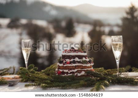 Sweet wedding decor in the winter style in the mountains