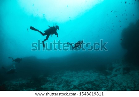Underwater shot of silhouettes of divers above in clear blue water