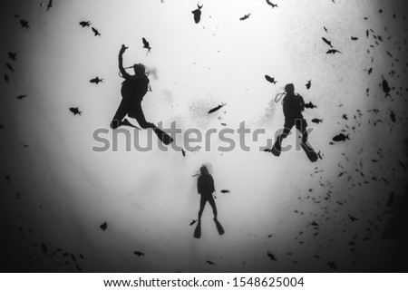 Black and white underwater shot of scuba diver silhouettes above
