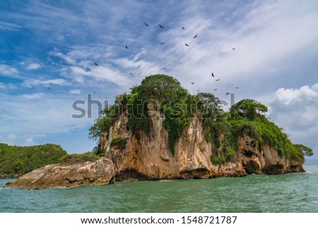 Los Haitises National Park,mangroves, caves, a rich tropical forest, multicolored tropical birds and manatees. The coast is dotted with small islets where frigates and pelicans nest.Dominican Republic