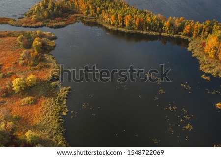 Beautiful natural scenery of river with beautiful autumn trees aerial view drone shot 