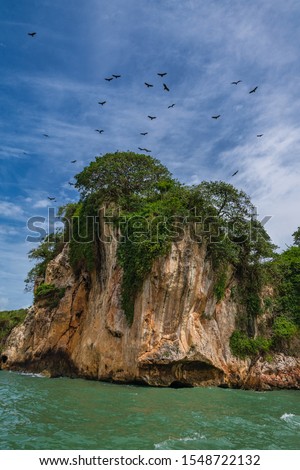 Los Haitises National Park,mangroves, caves, a rich tropical forest, multicolored tropical birds and manatees. The coast is dotted with small islets where frigates and pelicans nest.Dominican Republic