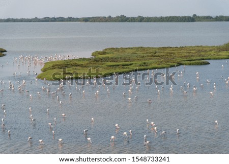 03 july 2016 Delta river Po , italy, big natural park, heritage protected Unesco