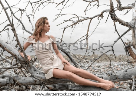 The dried up bed of a mountain river. The dry fallen tree on which the girl sits in a short beige dress. Stone bottom. Barefoot. Russia. Mountain Altai.
