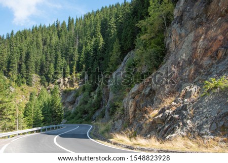 Serpentine road in the mountains. Summer sunny landscape with tall pines and rocks.