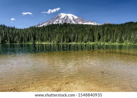Mount Rainier, Washington State. It is high summer and the sky is clear blue
