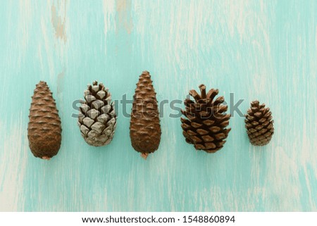 nature top view background of pine cones on blue wooden table