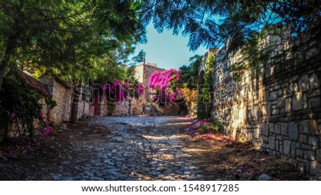 Stone streets of the old town of Datca decorated with colorful flowers and pink bougainvillea in Turkey