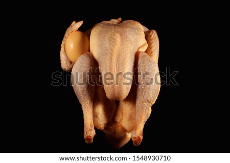 raw Bio chicken holding an egg. isolated on black background. funny chicken picture.