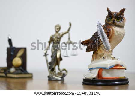 The lady of justice together with wisdom of owl and books in behind