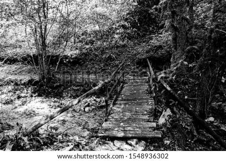 fiabesco ponte in legno on the Chiavone Bianco stream the Valle dei Mulini in Lusiana in the Province of Vicenza