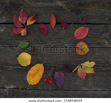 autumn leaves in the form of a frame on a wooden table