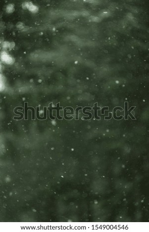 snow bokeh on green christmas tree background
