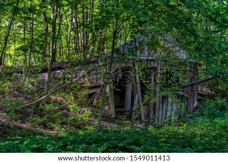 ruined wooden barn in the forest