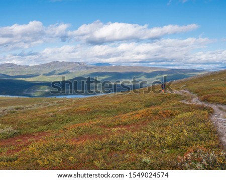 Lonely man hiker at Kungsleden hiking trail with Lapland nature with green mountains, river Lulealven, rock boulders, autumn colored bushes, birch tree and heath. Blue sky white clouds.