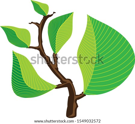 Tree branch with green leaves grow up on a white background. 2D vector illustration.