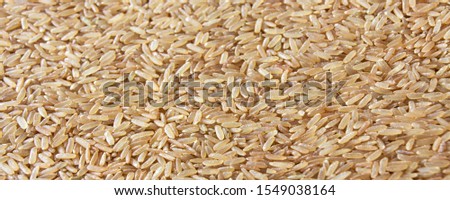 Brown rice as background banner