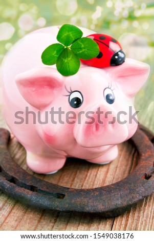 Lucky pig, ladybird, horseshoe, cloverleaf on wood with bokeh