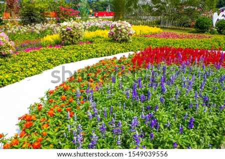 A rich variety of beautiful gardens Royalty-Free Stock Photo #1549039556