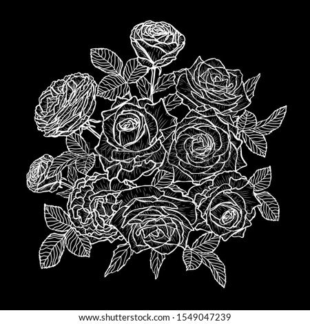 Decorative han drawn rose  flowers, design elements. Can be used for cards, invitations, banners, posters, print design. Floral background in line art style