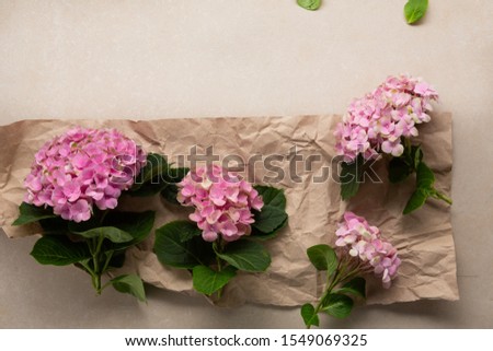 Pink blooming hydrangea flowers on paper