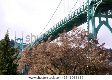 A low angle shot of the famous St. Johns Bridge surrounded by a forest in Portland, Oregon, United States