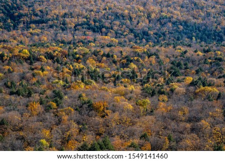 Fall colors as far as the eye can see in the Porcupine Mountains wilderness State Park in Michigan at Lake of the Clouds
