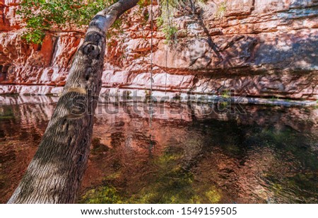 Red Rock mirror reflection on a Secret Swimming Hole In Sedona, Arizona
