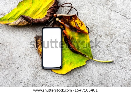 A white screen smartphone that is empty on a leaf. White screen smartphone background