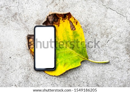 A white screen smartphone that is empty on a leaf. White screen smartphone background