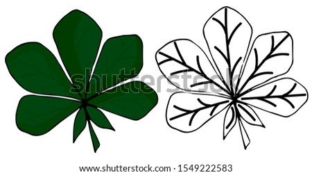 Decorative autumn leaf colorful trendy style vector flat icon illustration sign on white background for nature and web
