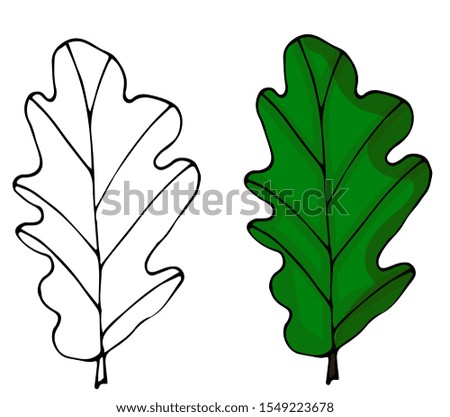 Long colorful trendy autumn leaves style vector flat icon illustration sign on white background for nature and web. Oak leaves.