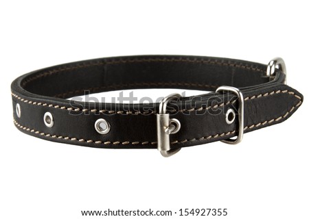 black leather dog collar Royalty-Free Stock Photo #154927355