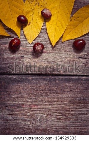   autumn background with colored leaves on wooden board